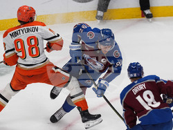 Ducks Avalanche Hockey