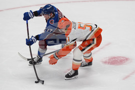 Ducks Avalanche Hockey