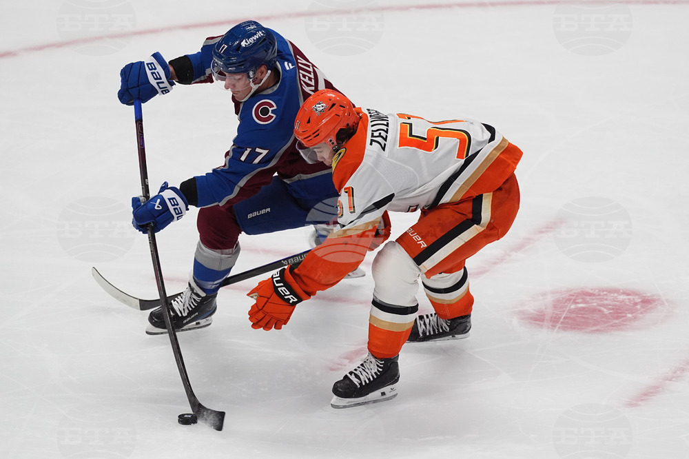 Ducks Avalanche Hockey