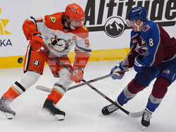 Ducks Avalanche Hockey