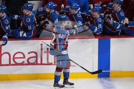 Ducks Avalanche Hockey