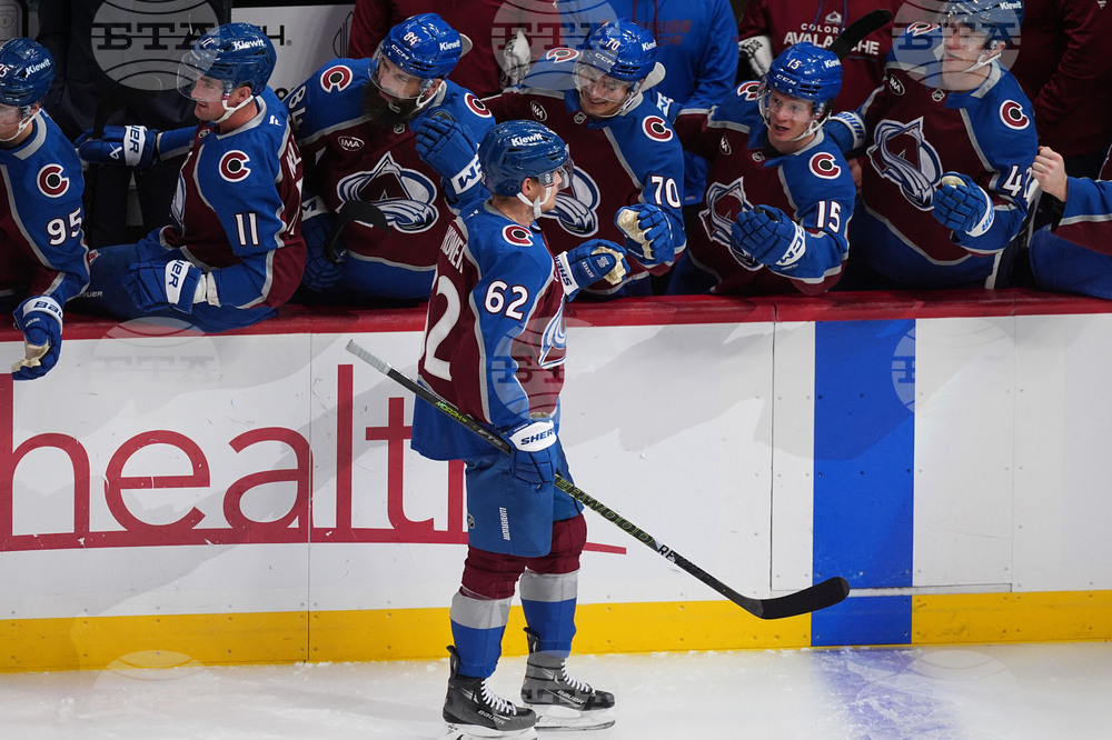 Ducks Avalanche Hockey