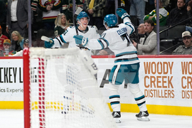 Sharks Wild Hockey