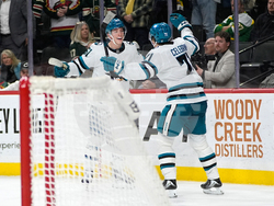 Sharks Wild Hockey