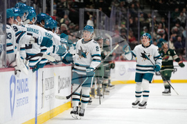 Sharks Wild Hockey