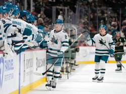 Sharks Wild Hockey