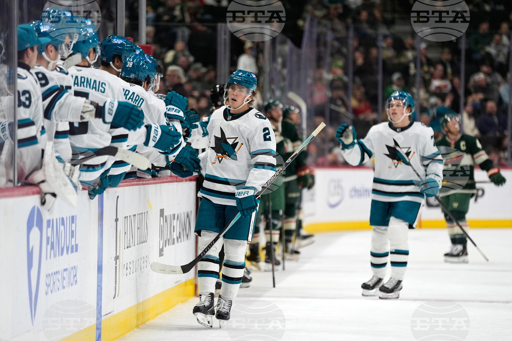 Sharks Wild Hockey