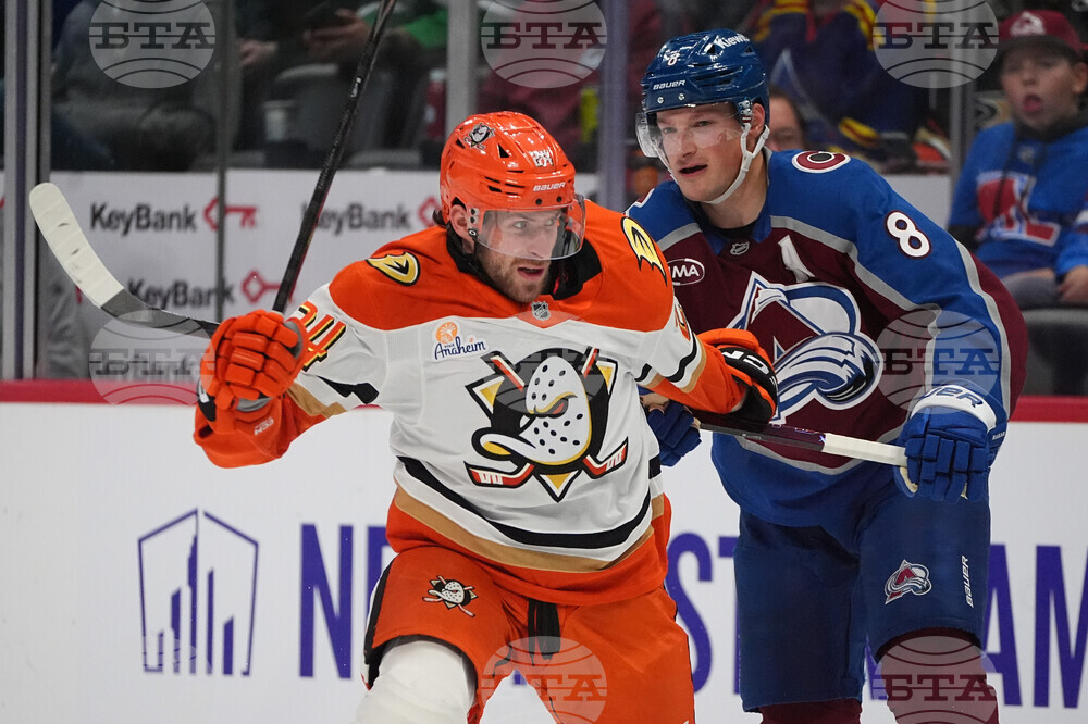 Ducks Avalanche Hockey