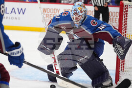 Ducks Avalanche Hockey