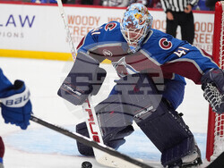 Ducks Avalanche Hockey