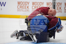 Ducks Avalanche Hockey