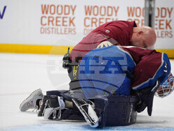 Ducks Avalanche Hockey