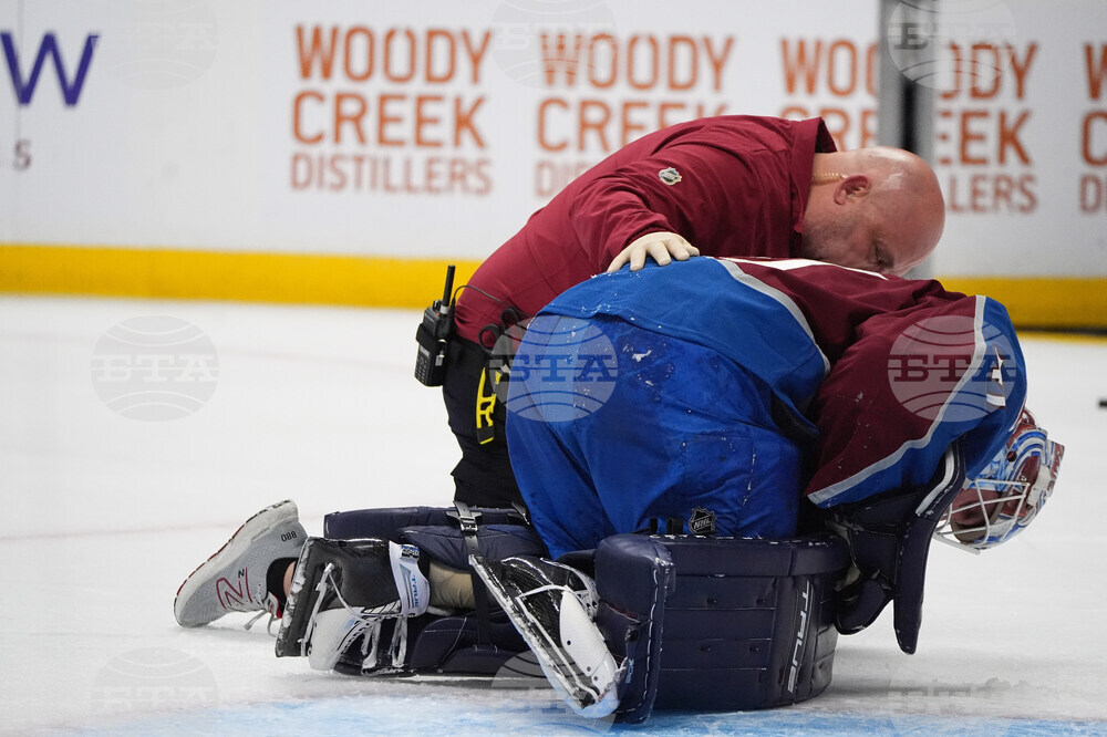 Ducks Avalanche Hockey