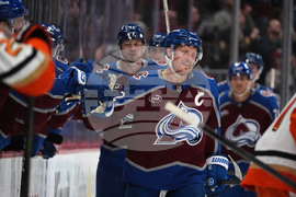 Ducks Avalanche Hockey