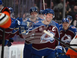 Ducks Avalanche Hockey