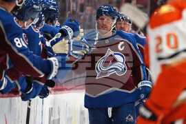 Ducks Avalanche Hockey