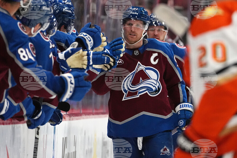 Ducks Avalanche Hockey