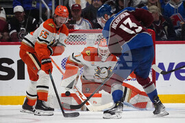 Ducks Avalanche Hockey