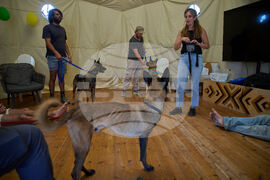 Mideast Wars Soldiers Mental Health