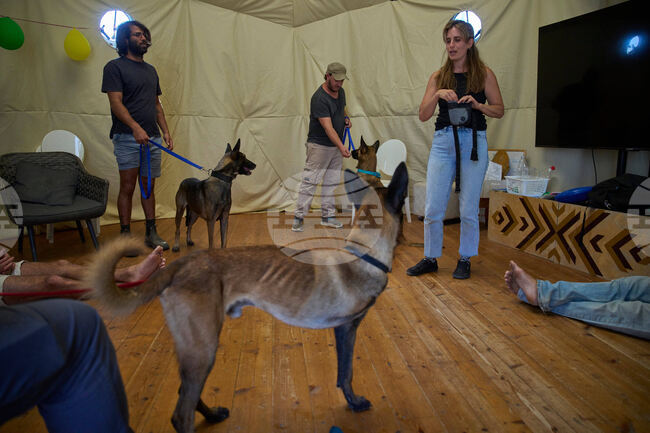 Mideast Wars Soldiers Mental Health