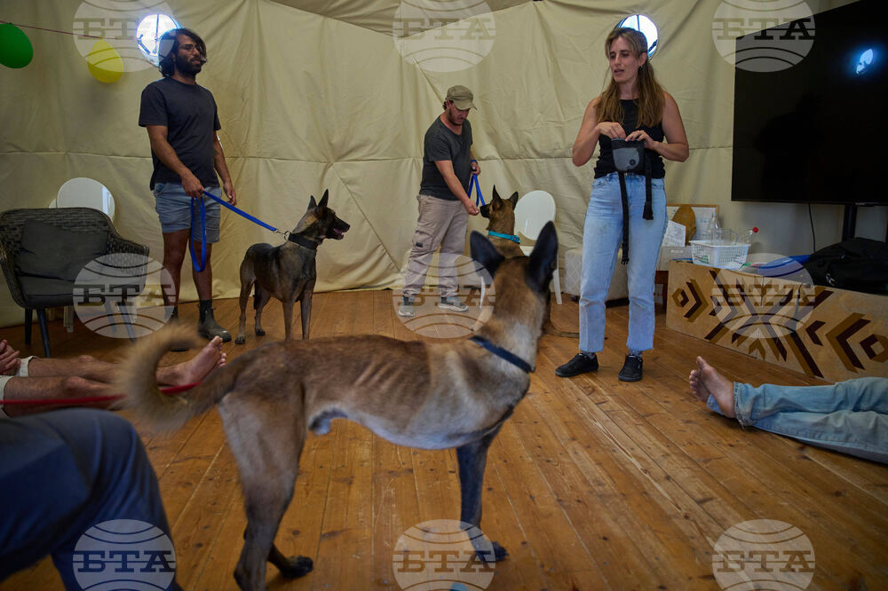 Mideast Wars Soldiers Mental Health