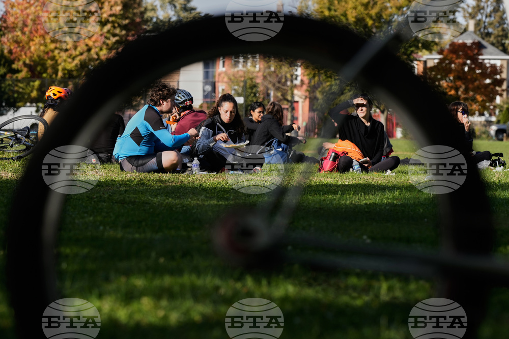 Federal Enforcement Chicago Vendors