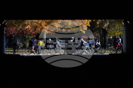 Federal Enforcement Chicago Vendors