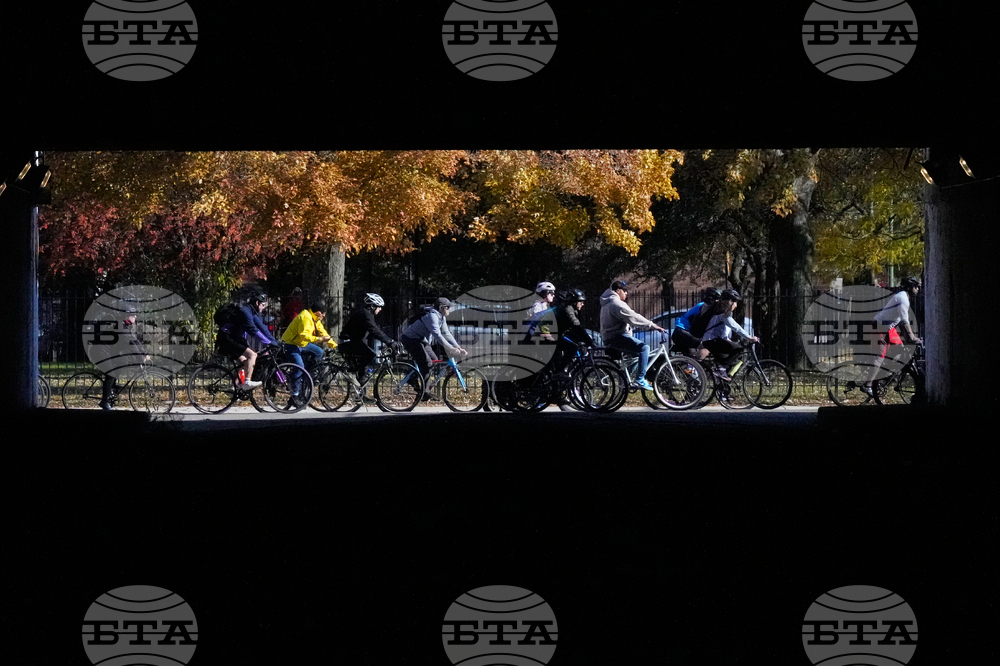 Federal Enforcement Chicago Vendors