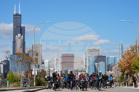 Federal Enforcement Chicago Vendors