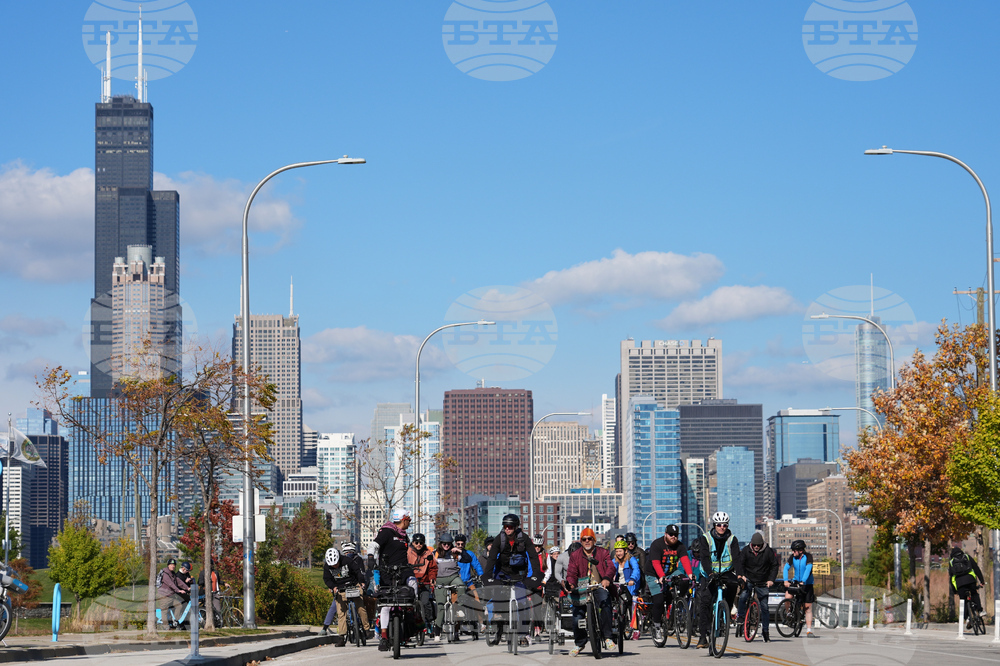Federal Enforcement Chicago Vendors