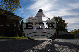 Federal Enforcement Chicago Vendors