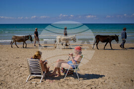 Mideast Wars Soldiers Mental Health