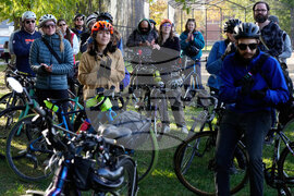 Federal Enforcement Chicago Vendors