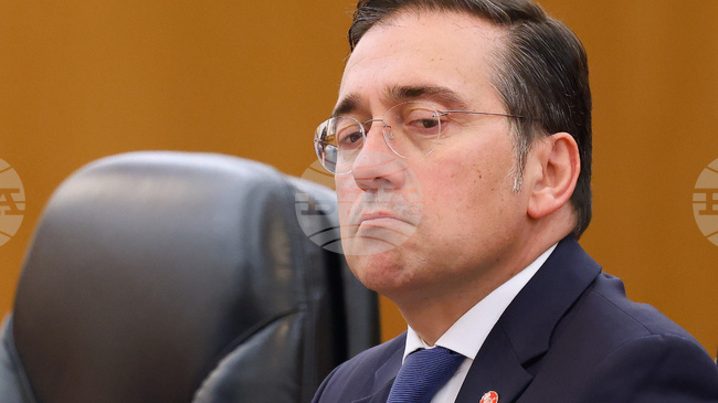 Испания не е запозната с никакъв план на Франция за Гренландия, каза испанският външен министър