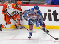 Ducks Avalanche Hockey