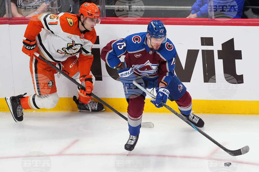 Ducks Avalanche Hockey