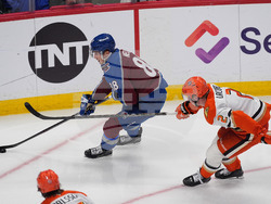 Ducks Avalanche Hockey