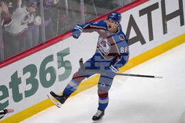 Ducks Avalanche Hockey