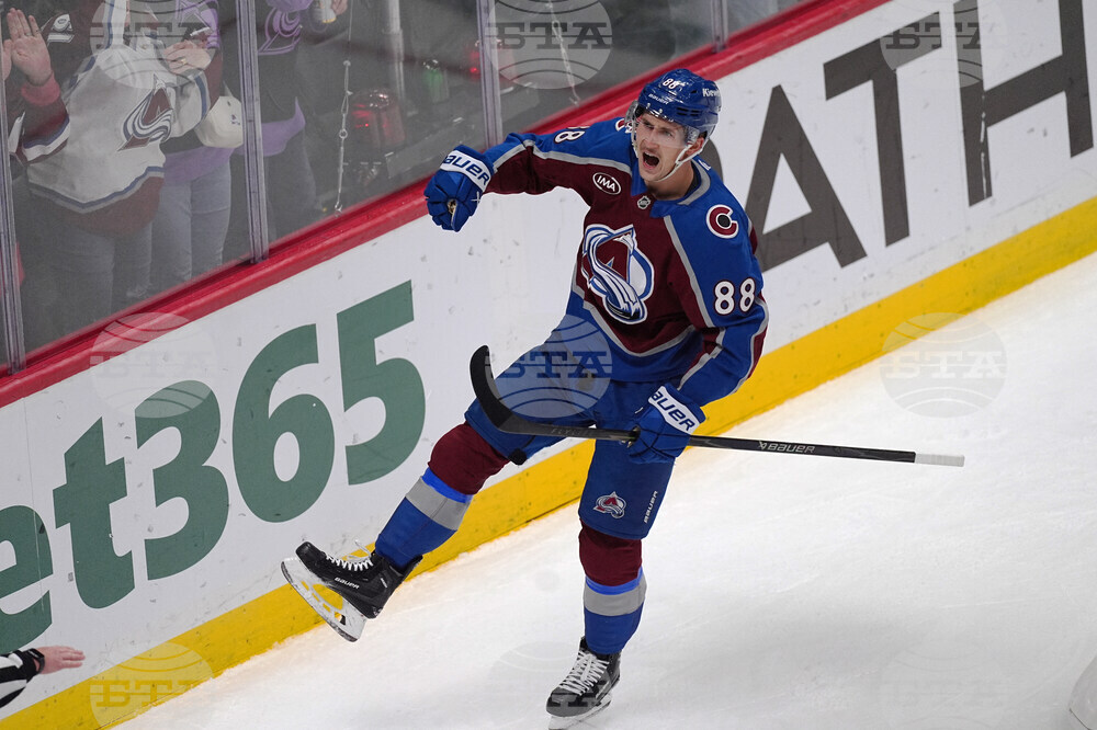 Ducks Avalanche Hockey