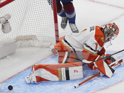 Ducks Avalanche Hockey