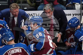 Ducks Avalanche Hockey