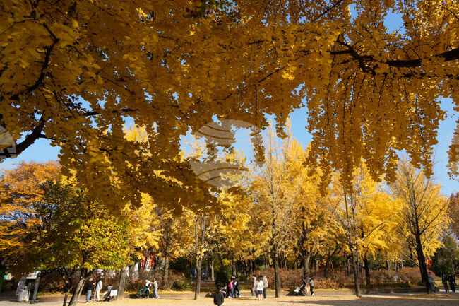 South Korea Daily Life