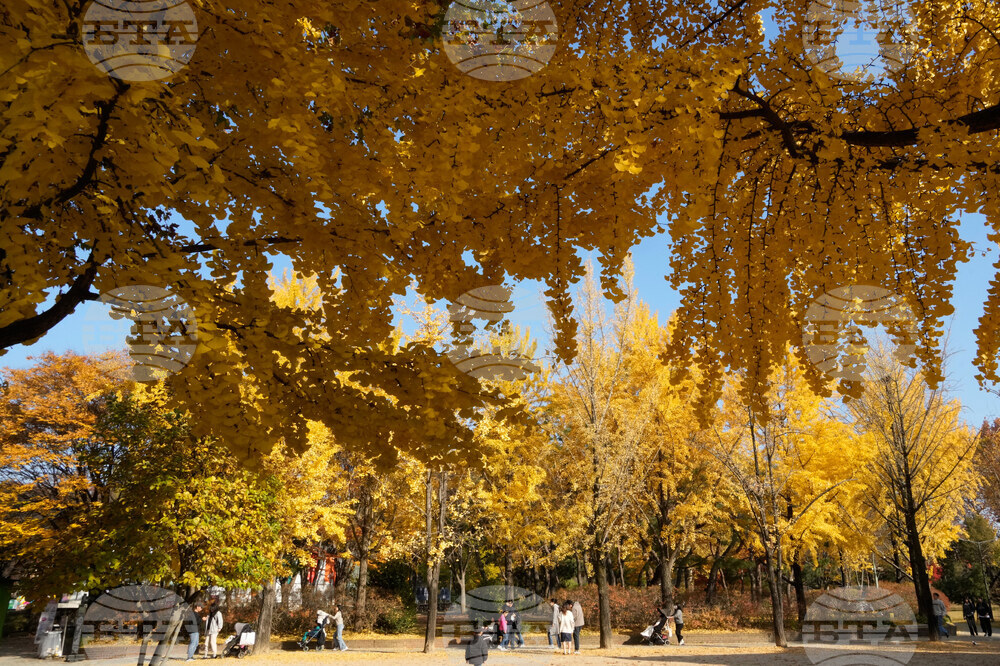 South Korea Daily Life