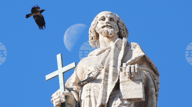 Служителите на Ватикана са недоволни от техните шефове, показва допитване