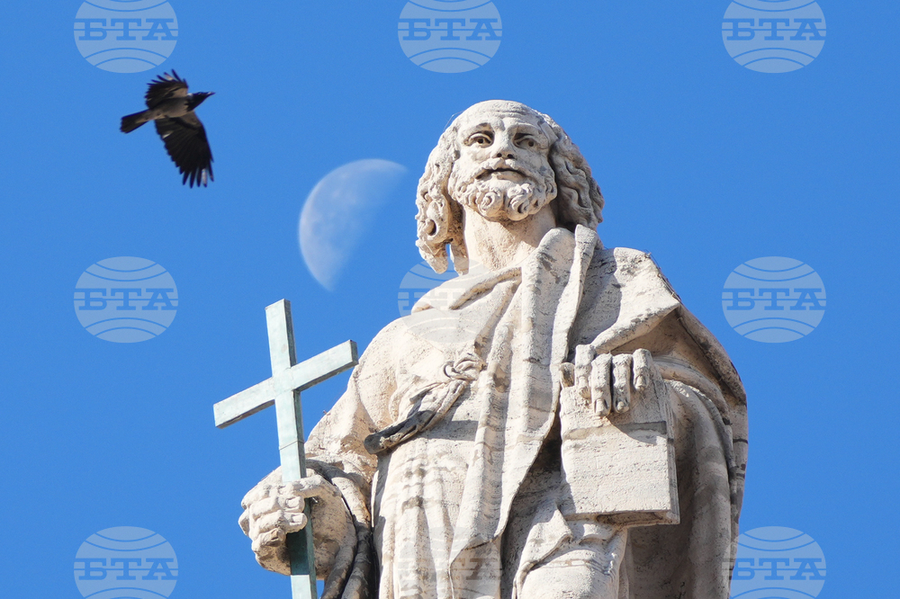 Служителите на Ватикана са недоволни от техните шефове, показва допитване