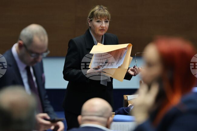 Парламентът прие на второ четене промени в НПК, свързани с възможността да се иска ускоряване на досъдебно производство