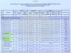 Снимка: ПП “Национално движение Непокорна България”