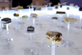 Международни хранителни изложения - откриване