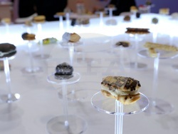 Международни хранителни изложения - откриване