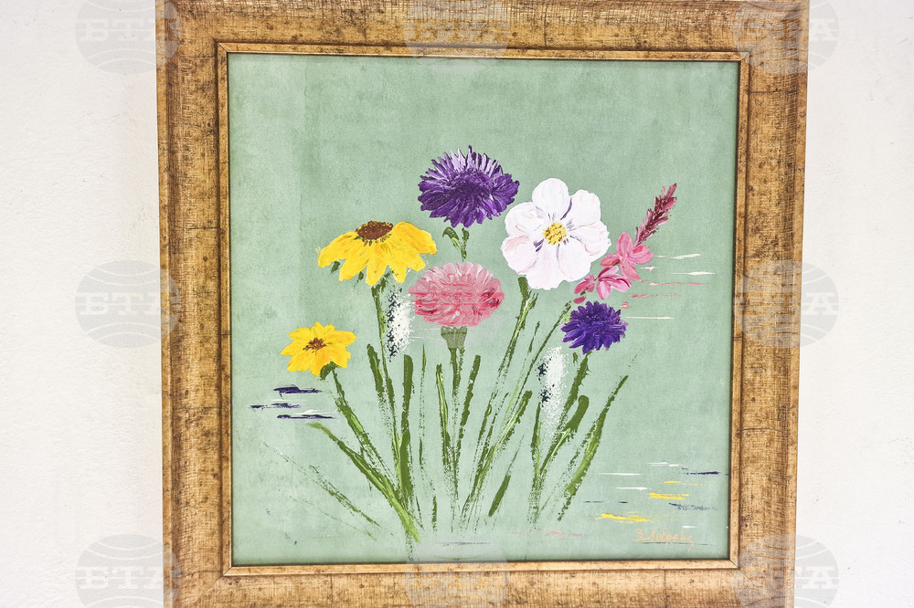 Хасково - Златка Добрева - изложба